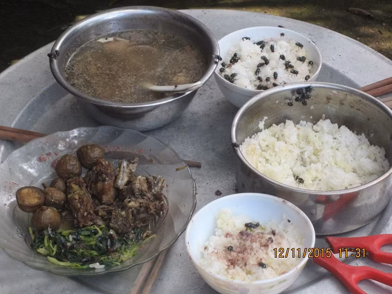 Mâm cơm vừa bỏ lồng bàn ra, chưa đầy 5 phút ruồi nhặng đã bu đầy.