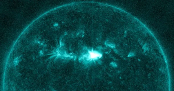 Vết đen sinh ra từ những vùng bề mặt Mặt Trời chứa những từ trường mạnh mẽ xoắn vào nhau rồi bất ngờ đứt gãy. Lượng năng lượng tỏa ra từ hiện tượng này tạo ra một lượng bức xạ lớn, được gọi là hiện tượng “coronal mass ejection - CME” (phóng khối hào quang).