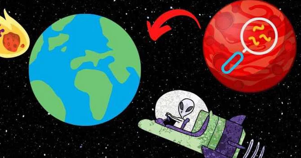 Nhiều người nói rằng bất kỳ sự sống nào trên Trái đất trước LHB sẽ bị xóa sổ, và sự sống ngày nay xuất phát từ bên ngoài không gian, thông qua những va chạm với Trái đất. Đây chỉ là suy đoán, nhưng khi so sánh với thời điểm xuất hiện sự sống trên Trái đất, nó có sức nặng đối với lập luận.