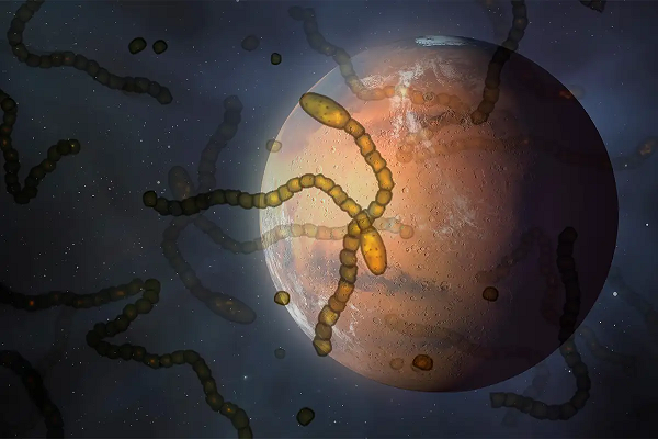 Một thiên thạch được phát hiện vào năm 1984 tại vùng Allan Hill của Nam Cực được đánh số hiệu là ALH8400 được phát hiện có nguồn gốc từ sao Hỏa và nó là thiên thạch sao Hỏa vô cùng đặc biệt.