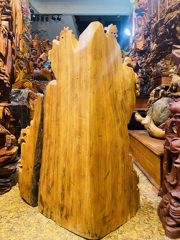 Trong môi trường áp suất cao, nhiệt độ thấp và không có oxy cùng với được ngâm trong silica (một nguyên tố carbon trong cây), một số đặc tính ban đầu của cây được giữ lại một phần. Tiếp đó, một số nguyên tố khoáng xung quanh đá kết thành vật chất nhiều màu sắc, đây là gỗ hóa đá hay còn gọi là ngọc am.