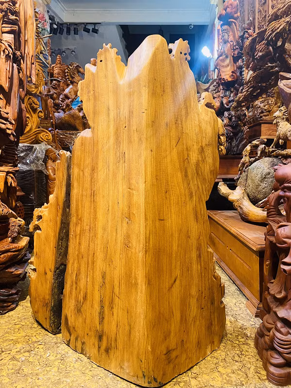 Trong môi trường áp suất cao, nhiệt độ thấp và không có oxy cùng với được ngâm trong silica (một nguyên tố carbon trong cây), một số đặc tính ban đầu của cây được giữ lại một phần. Tiếp đó, một số nguyên tố khoáng xung quanh đá kết thành vật chất nhiều màu sắc, đây là gỗ hóa đá hay còn gọi là ngọc am.