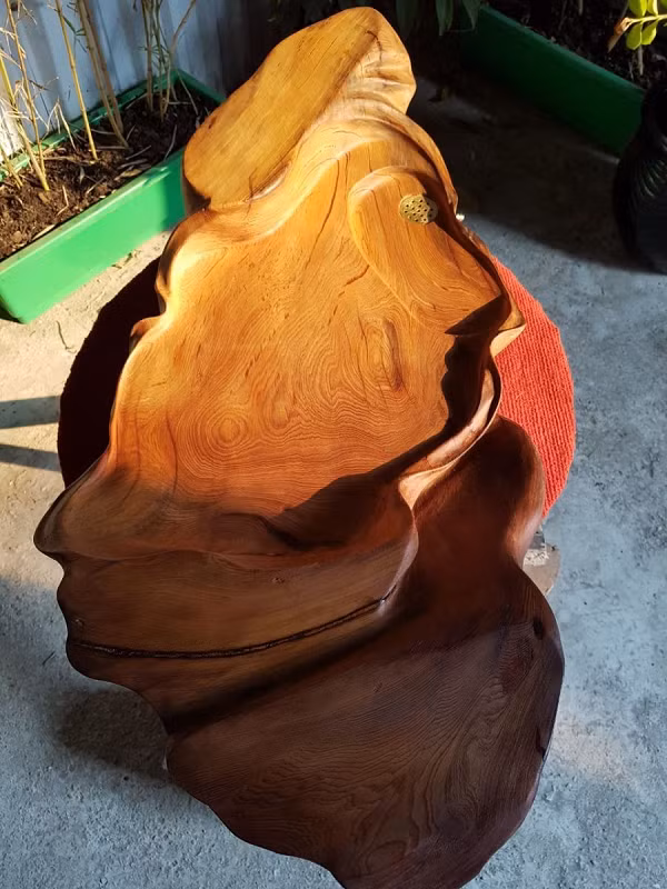 Việc hình thành nên gỗ ngọc am cần điều kiện môi trường địa chất vô cùng khắc nghiệt. Xác suất hình thành các hóa thạch cổ sinh chỉ là một phần triệu, và xác suất hình thành ngọc gỗ thậm chí còn thấp hơn.