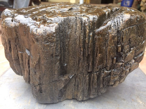 Gỗ Ngọc Am ngày nay đã trở thành cái tên khá nổi bật trong thị trường gỗ. Gỗ Ngọc Am dường như đã trở thành chuẩn mực để đánh giá sự giàu có, đẳng cấp của giới thượng lưu.