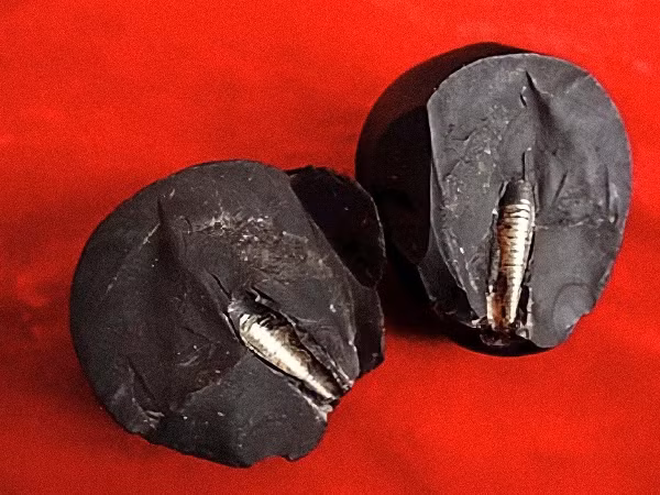 Vào tháng 6 năm 2002, ông Zhilin Wang - nhà sưu tập Trung Quốc đến từ Lan Châu đã tìm thấy một tảng đá được găm một thanh kim loại vặn ren ở bên trong ở gần vùng núi Marzong ở biên giới hai tỉnh Cam Túc và Tây Giang, Trung Quốc.