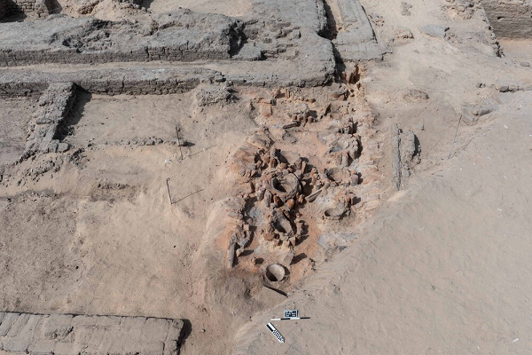 Nơi đây cũng sở hữu quần thể động vật đa dạng. Nhờ đó, cư dân sống ở hai bờ sông Nile không chỉ an cư lạc nghiệp mà còn phát triển thông thương. Thiên nhiên đã ưu ái ban cho nơi này điều kiện vô cùng thuận lợi để phát triển nền văn minh sớm nhất thế giới.