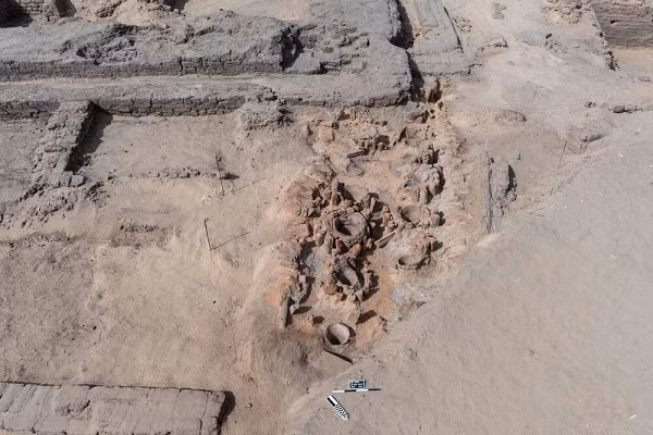 Nơi đây cũng sở hữu quần thể động vật đa dạng. Nhờ đó, cư dân sống ở hai bờ sông Nile không chỉ an cư lạc nghiệp mà còn phát triển thông thương. Thiên nhiên đã ưu ái ban cho nơi này điều kiện vô cùng thuận lợi để phát triển nền văn minh sớm nhất thế giới.