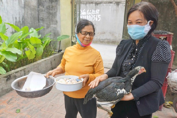 Ngày 1/3 và 2/3, Chi cục tiếp tục cho người xuống kiểm tra, nhưng không thấy gà đẻ tiếp. Ông Nguyễn Văn Thắng, chuyên viên Phòng Kỹ thuật, Chi cục Chăn nuôi và Thú y cho rằng, việc gà của bà Tâm đẻ liên tục nhiều trứng/ngày, cá biệt có ngày đẻ 7 quả là không có căn cứ khoa học.
