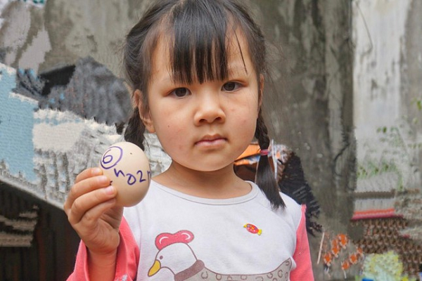 Trường hợp gà đẻ 2 quả trứng một ngày là đã rất ít gặp. Kể cả đẻ 2 quả một ngày cũng không thể đẻ liên tục trong vòng nửa tiếng như lời kể của bà Tâm.