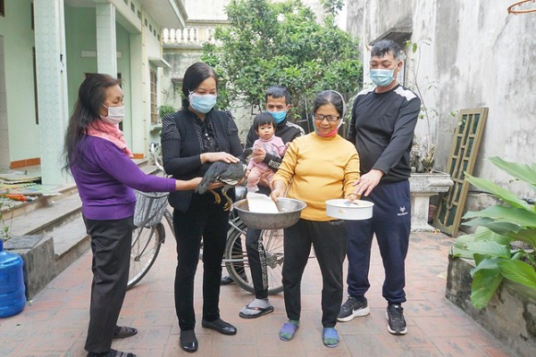 Trước sự việc trên, Chi cục Chăn nuôi và Thú y, Sở Nông nghiệp và Phát triển nông thôn tỉnh Bắc Giang đã cho người xuống kiểm tra. Sáng ngày 28/2, cán bộ Chi cục kiểm tra và đặt máy điện thoại quay. Tuy nhiên, gà không đẻ quả nào.