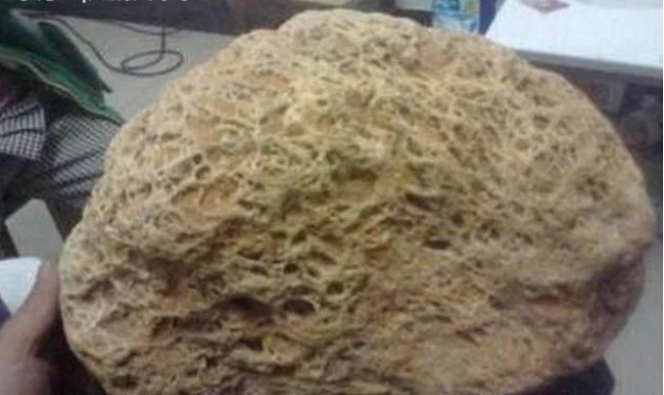 Sau khi mọi người cùng xem xét, họ kết luận rằng trong hòn đá này ắt hẳn có thứ gì đó quý giá ở bên trong. Ai nấy đều khuyên lão nông nhanh chóng tìm người có chuyên môn để kiểm tra hòn đá này.