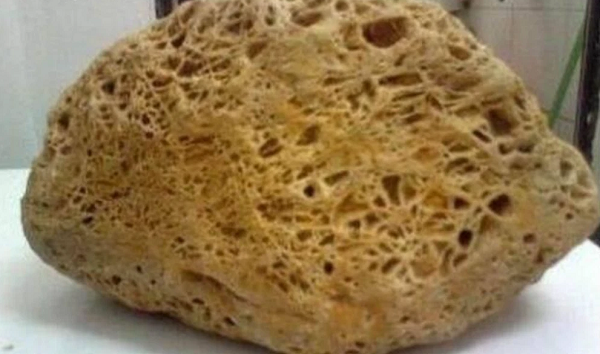 Một lão nông đang cùng người thân của mình đào giếng sau nhà thì đụng trúng 1 hòn đá vô cùng xấu xí. Bề mặt của nó đầy lỗ và có kết cấu rất rõ ràng.