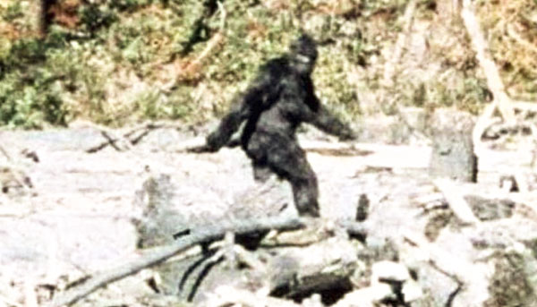 Bigfoot là sinh vật này trông như loài lai tạp giữa người và khỉ đột, cao từ 2 đến 3 mét khi đứng thẳng, cơ thể phủ đầy lông và bốc mùi kinh khủng.