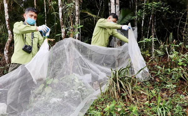 Các động vật được tiếp nhận bao gồm 35 rắn hổ mang một mắt kính (Naja kaouthia), 2 khỉ mặt đỏ (Macaca arctoides) và 2 khỉ mốc (Macaca assamensis).