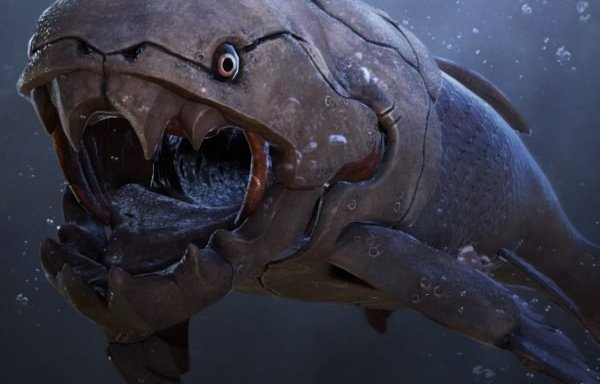 Những chiếc hàm cổ xưa nhất đã xuất hiện sự đánh đổi giữa tối đa hóa sức mạnh và tốc độ: mạnh hơn thì kém linh hoạt hơn, linh hoạt và tấn công tốc độc hơn thì sức cắn yếu hơn.