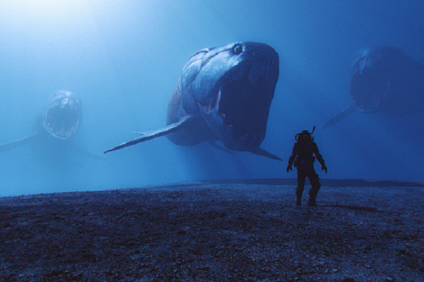 Sự đánh đổi này đã giúp tạo nên một "công thức" cho mỗi loài, giúp chúng phù hợp với những môi trường và nguồn thực phẩm khác nhau.