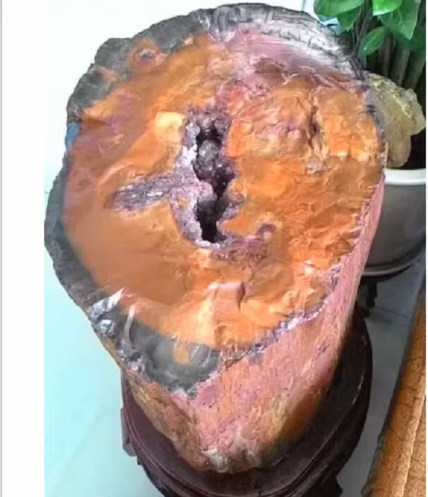 Về nguyên bản, chúng là 1 khúc gỗ mục nhưng khi gặp khu vực đất có chứa silic SiO2 ngấm vào các thớ gỗ và biến thành 1 loại đá quý. Do đó, gỗ hóa ngọc là loại đá quý có đặc tính vô cùng bền vững.