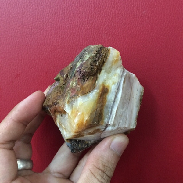 Gỗ hóa thạch nhìn có vẻ giống như cây gỗ nhưng khi chạm tay vào sẽ cảm thấy độ mát lạnh.