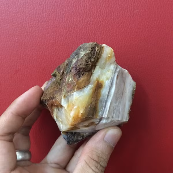 Gỗ hóa thạch nhìn có vẻ giống như cây gỗ nhưng khi chạm tay vào sẽ cảm thấy độ mát lạnh.