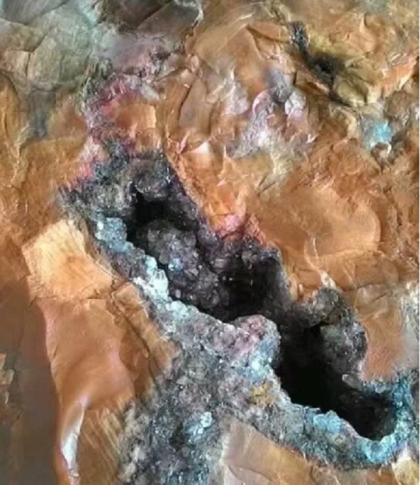 Gỗ hóa thạch hay còn được gọi là gỗ hóa đá, gỗ đá và được xếp vào dòng bán đá quý. Loại gỗ được chôn vùi trong phần nham thạch hoặc dưới lòng đất qua hàng triệu năm. Trải qua quá trình biến đổi địa chất, các loại cây bị chôn vùi xuống lòng đất và hóa đá, cũng có khi biến thành than đá.