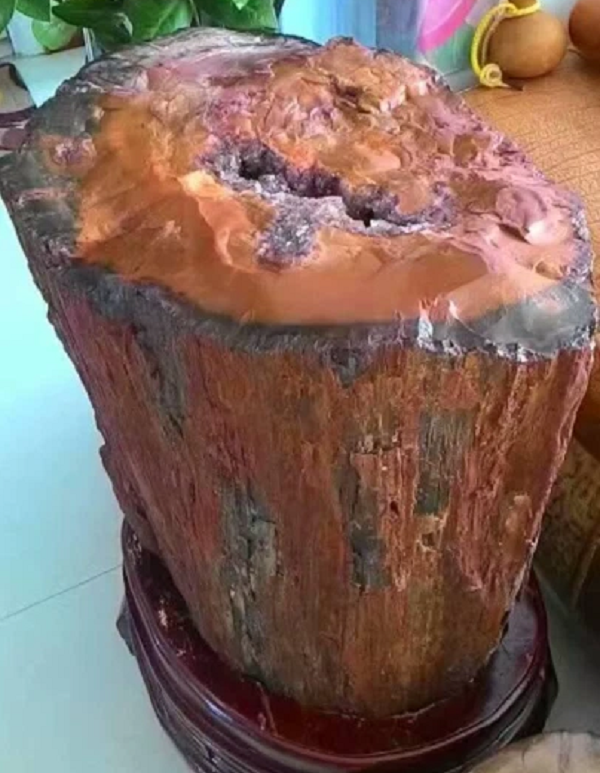 Khi gặp điều kiện thuận lợi, nhất là những khu vực đất có chứa silic SiO2 và ngấm vào các thớ gỗ và khiến cho gỗ cứng như đá. Loại đá này có độ cứng tương đương với đá mã não hay đá chalcedony.