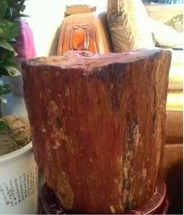 Sau khi tìm hiểu, hóa ra đây chính là một khúc gỗ hóa thành ngọc. Gỗ hóa ngọc vốn có nguồn gốc từ các rừng cây nguyên sinh. Do các trận phun trào của núi lửa, những thân gỗ này bị cuốn vào nham thạch, sau hàng triệu năm chúng dần biến thành ngọc.