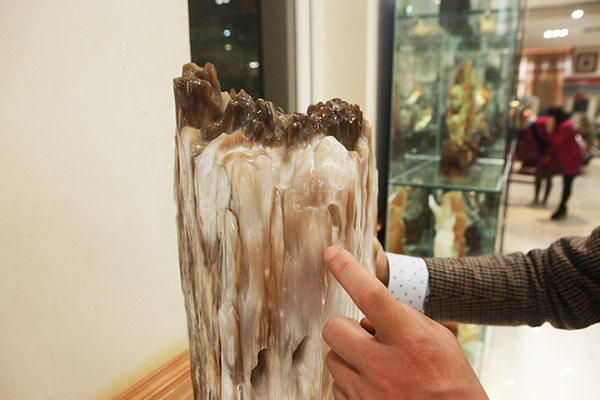 Thông qua kính hiển vi sẽ nhìn thấy trong loại gỗ này có những vòng sinh trưởng của thân gỗ và những cấu trúc tế bào đó cực kỳ tinh vi và có những họa tiết thứ cấp nhìn giống như những đường phân chia trên đá mã não hay đá ngọc bích.