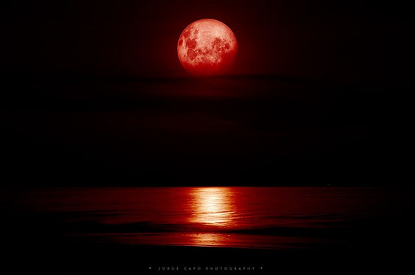 Cụ thể, trong “Khải huyền” tiết 12 chương 6 của Thánh Kinh có ghi: “Khi Chiên Con mở ấn thứ sáu, tôi thấy một trận động đất khủng khiếp xảy ra, mặt trời trở nên tối đen như một bao tải làm bằng lông đen, cả Mặt trăng trở nên đỏ như máu”. “Kinh Cựu Ước” tiết 1 chương 7 cũng nhắc: “Trước ngày tận thế là Mặt trăng đỏ máu…”