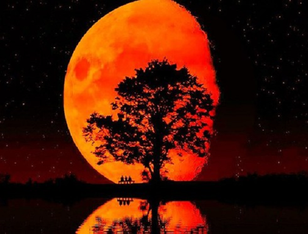 Do ánh sáng khúc xạ từ Mặt trăng xuyên qua tầng khí quyển của Trái Đất sẽ khiến cho Mặt trăng có màu đỏ rực như máu. Lần này, Mặt trăng sẽ tối hơn bình thường và xuất hiện màu đỏ nhạt bởi nó chỉ đi vào nửa vùng bóng tối của Trái Đất.