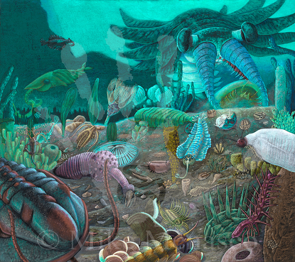 Để rồi một số trong chúng lại vô tình nằm ngay mạch phun trào của núi lửa, cùng với các vật liệu lớp phủ khác phơi ra dưới ánh sáng Mặt Trời lần nữa khi núi lửa phun trào, trong khi hầu hết vẫn đang "yên nghỉ" hàng trăm km dưới chân chúng ta.