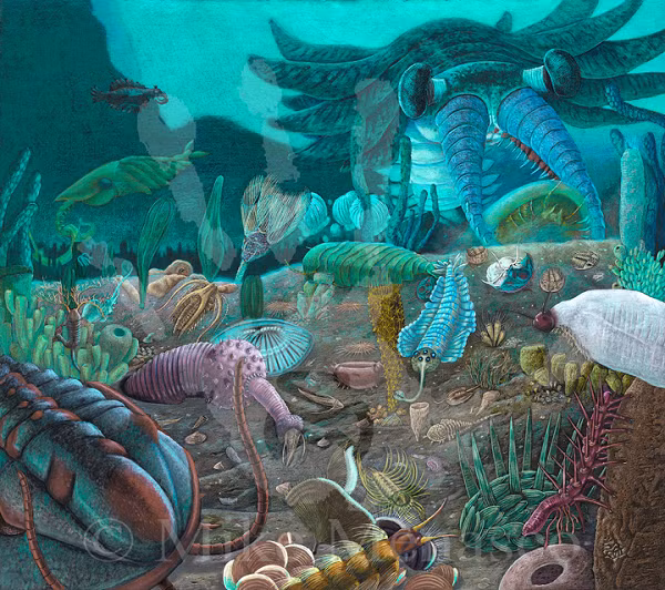 Để rồi một số trong chúng lại vô tình nằm ngay mạch phun trào của núi lửa, cùng với các vật liệu lớp phủ khác phơi ra dưới ánh sáng Mặt Trời lần nữa khi núi lửa phun trào, trong khi hầu hết vẫn đang "yên nghỉ" hàng trăm km dưới chân chúng ta.