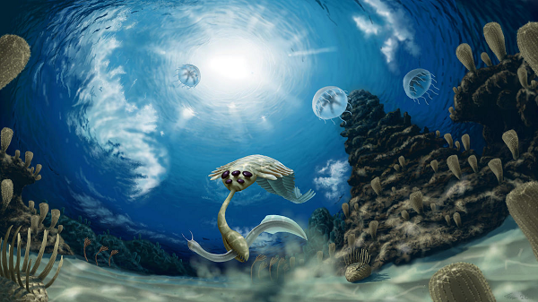 Giống như mọi hành tinh đất đá khác, Trái đất được cấu tạo bởi nhiều lớp. Đây là vì nó trải qua sự phân lớp hành tinh, trong đó vật chất đặc hơn chìm xuống tâm tạo thành nhân, còn vật chất nhẹ hơn tạo thành lớp phủ bên ngoài.