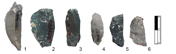 Denisovans là loài người khá hoang dã và sống phụ thuộc nhiều nhất vào săn bắn. Có nghiên cứu cho thấy trong khoảng thời gian đói kém, họ săn cả những con linh trưởng và ăn thịt lẫn nhau để tồn tại.