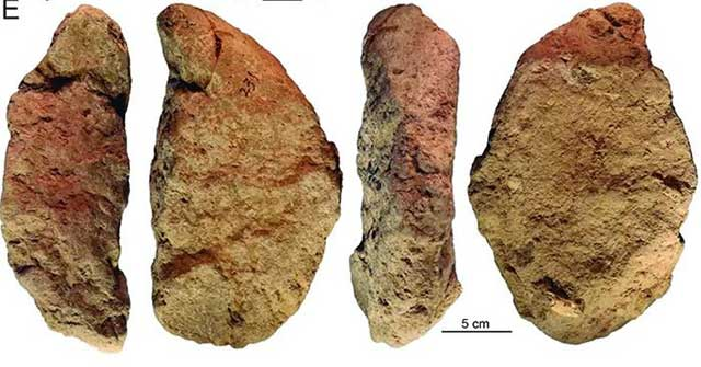 Một nhóm nhanh chóng tiến hóa thành người Denisovans và người Neanderthals, trong khi nhóm khác tiến hóa dần dần để vài trăm ngàn năm sau sinh ra dòng giống Homo sapiens mới.