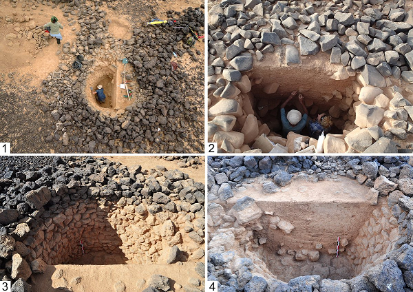 Theo nghiên cứu công bố tháng 7-2019 của Đại học New York (Mỹ), người Denisovans từng giao phối dị chủng với tổ tiên Homo sapiens chúng ta, để lại trên cơ thể 40% người châu Á hiện đại chiếc răng hàm Denisovans kỳ dị, có thêm 1 chân phụ.