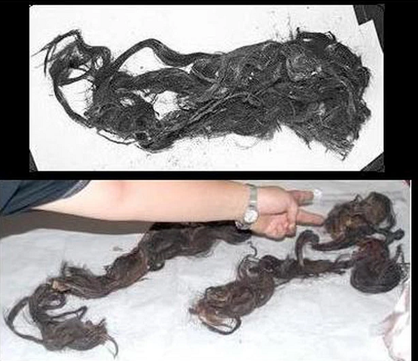 Từ Hi đã chuẩn bị sẵn hậu sự cho ông trước khi ông chết, điều này cho thấy bà đã biết ngày mà vua Quang Tự phải chết, chỉ không ngờ là ông kiên trì gắng gượng 4 ngày, vì chết không minh bạch nên mới được cho vào quan tài một cách vội vã.