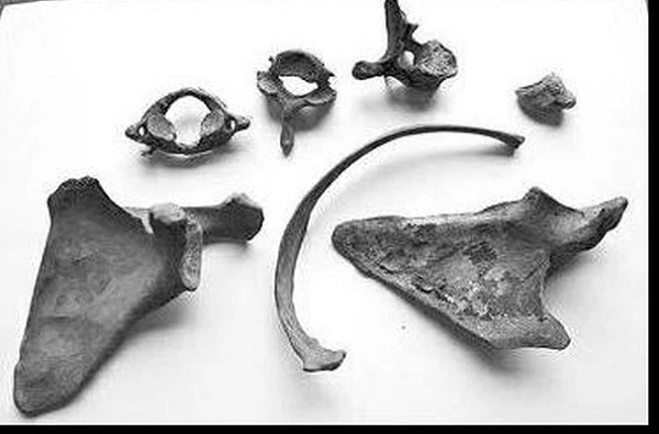 Cũng có người cho rằng, Từ Hi Thái hậu không cam tâm ra đi một mình và lo lắng Quang Tự sẽ lấy lại được quyền lực nên vào lúc ốm đau cuối đời đã cho người hạ độc cháu trai.