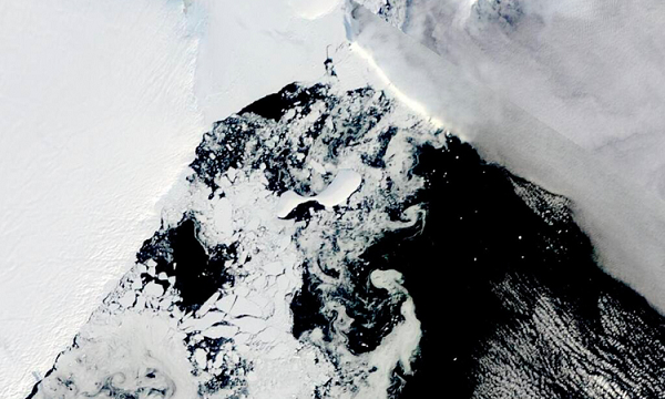 Một dòng sông trong khí quyển giữ nhiệt trên lục địa đã dẫn đến nhiệt độ kỷ lục này. "Chúng tôi không thể lường trước được việc nhìn thấy thềm băng đó sụp đổ", Peter Neff, một nhà băng học tại Đại học Minnesota, Mỹ cho biết.