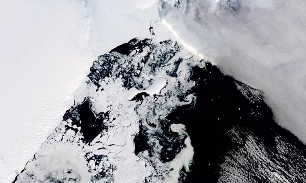 Một dòng sông trong khí quyển giữ nhiệt trên lục địa đã dẫn đến nhiệt độ kỷ lục này. "Chúng tôi không thể lường trước được việc nhìn thấy thềm băng đó sụp đổ", Peter Neff, một nhà băng học tại Đại học Minnesota, Mỹ cho biết.