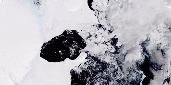 "Kể từ khi con người có được dữ liệu vệ tinh từ vùng Đông Nam Cực, tôi không nghĩ sự sụp đổ có thể diễn ra ở cả khu vực này", Rob Larter, một nhà địa vật lý biển tại Cơ quan Khảo sát Nam Cực Anh Quốc cho biết thêm.