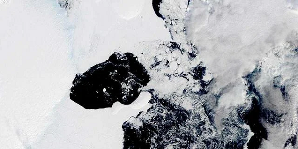 "Kể từ khi con người có được dữ liệu vệ tinh từ vùng Đông Nam Cực, tôi không nghĩ sự sụp đổ có thể diễn ra ở cả khu vực này", Rob Larter, một nhà địa vật lý biển tại Cơ quan Khảo sát Nam Cực Anh Quốc cho biết thêm.