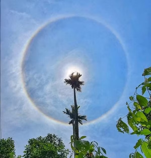 Còn ở Mặt Trời, tuy ít xuất hiện hơn nhưng nó cũng không phải quá hiếm và không phải hiện tượng khó hiểu, càng không phải điềm báo hay dấu hiệu của bất cứ sự kiện nào.