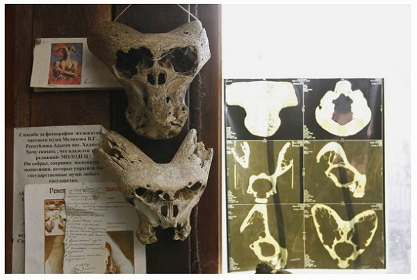 Nhóm của Melikov thông báo rằng họ đã gặp được một ẩn sĩ sống trong vùng và tìm thấy thêm một chiếc vali bí ẩn và một bản đồ màu với độ chính xác đến kinh ngạc về nước Cộng hòa Adygea – một lãnh thổ của Nga không xa Biển Đen năm 1941.