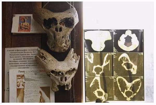 Nhóm của Melikov thông báo rằng họ đã gặp được một ẩn sĩ sống trong vùng và tìm thấy thêm một chiếc vali bí ẩn và một bản đồ màu với độ chính xác đến kinh ngạc về nước Cộng hòa Adygea – một lãnh thổ của Nga không xa Biển Đen năm 1941.