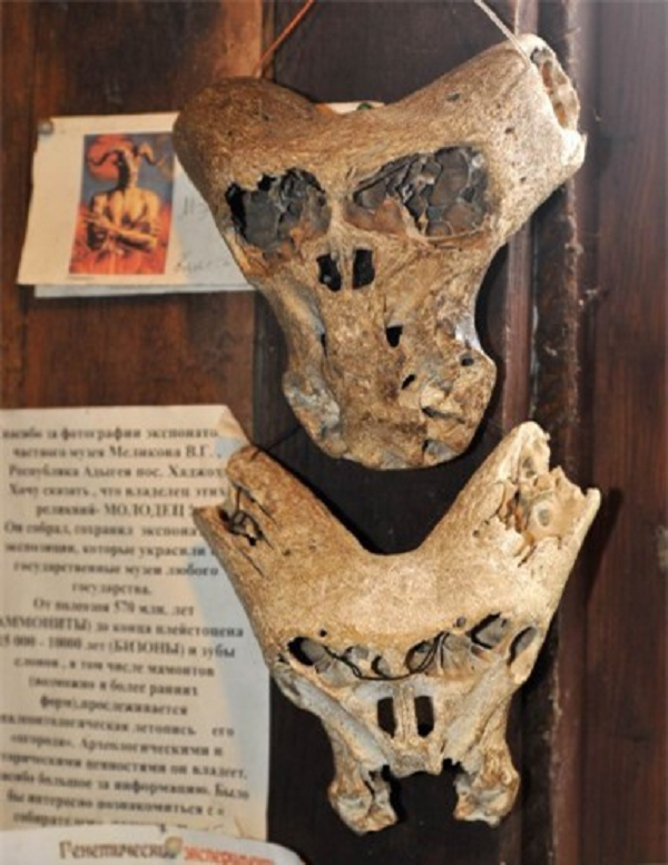 Trong khi hai hộp sọ còn làm bối rối các nhà khoa học thì một phát hiện trong khu rừng cạnh bên không lâu sau đó càng làm cho mọi chuyện thêm bí ẩn.