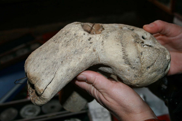 Chiếc cặp trên đây cũng không phải là thứ duy nhất cho thấy hoạt động của Đế chế thứ ba trong khu vực. Vào năm 2015, các nhà nghiên cứu tuyên bố đã phát hiện ra một chiếc vali khác có dấu hiệu của Ahnenerbe trên núi Elbrus, đỉnh cao nhất của châu Âu.