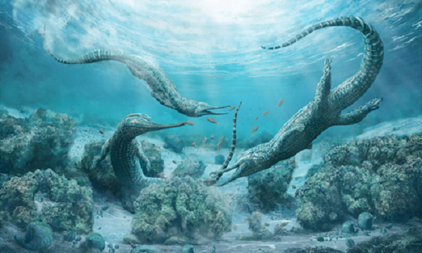 Trước đó, các nhà khảo cổ học Trung Quốc đã phát hiện một hóa thạch của loài quái vật biển cổ xưa có niên đại cách đây 518 triệu năm, hai mẫu hóa thạch đã được các nhà khảo cổ học phát hiện ở tỉnh Vân Nam, miền Nam Trung Quốc.