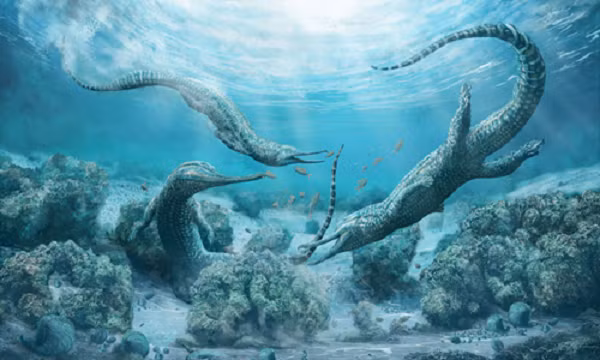Trước đó, các nhà khảo cổ học Trung Quốc đã phát hiện một hóa thạch của loài quái vật biển cổ xưa có niên đại cách đây 518 triệu năm, hai mẫu hóa thạch đã được các nhà khảo cổ học phát hiện ở tỉnh Vân Nam, miền Nam Trung Quốc.
