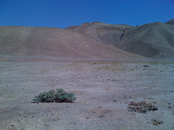 Sau khi tỉnh dậy, James nhận ra mình đang ở trong một căn phòng cùng với những máy móc và thiết bị điện tử kỳ lạ. Một người đàn ông lạ mặt xuất hiện và tự giới thiệu mình là Jonas. Sau đó, anh ta giải thích với James rằng trong lúc đang đi du hành các Trái Đất song song, anh ta tìm thấy James đang nằm bất tỉnh trên đường nên đã đưa về thế giới của mình để chăm sóc.