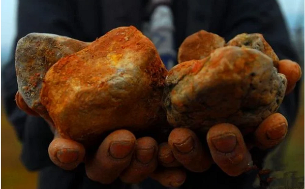 Một lão nông khi đang đi lên núi đã đào được rất nhiều viên đá màu vàng kỳ lạ. Sau đó, người này còn bán chúng đi và thu được rất nhiều tiền.